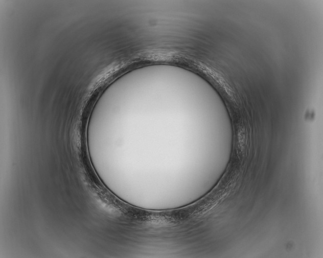 X0000096720682200802261654