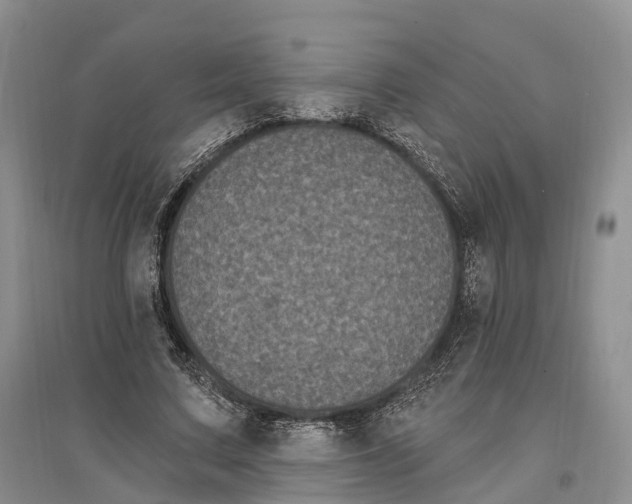 X0000096720683200802261654