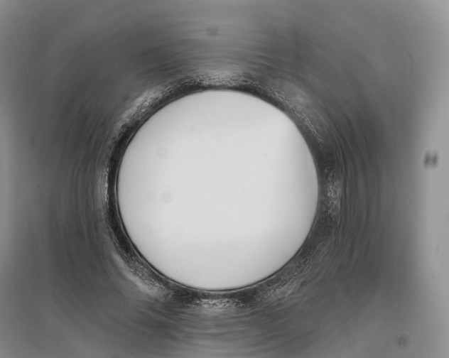 X0000096720686200802261654