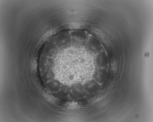 X0000096720687200802261654