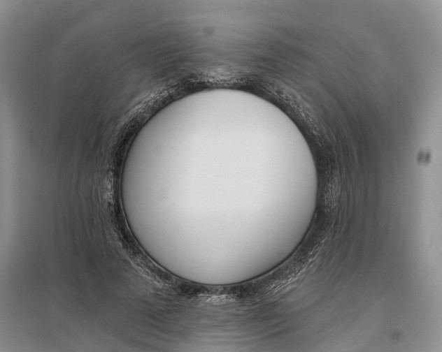 X0000096720689200802261654