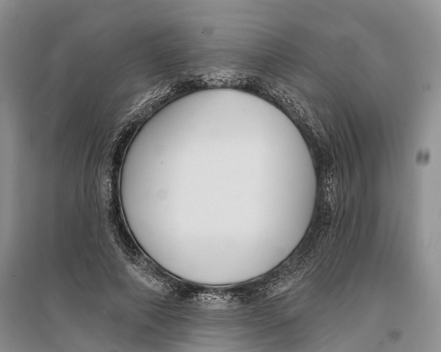 X0000096720690200802261654