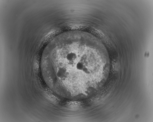 X0000096720691200802261654