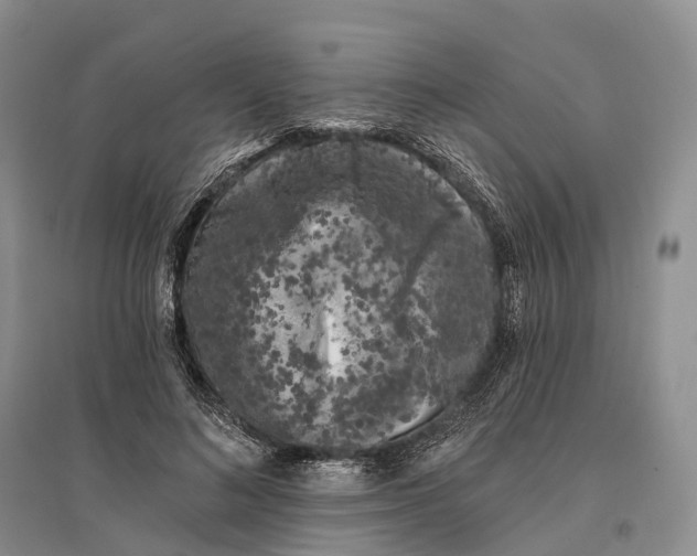 X0000096720692200802261654