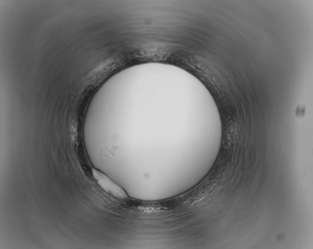 X0000096720693200802261654