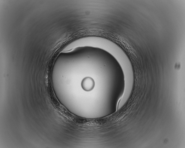 X0000096720696200802261654