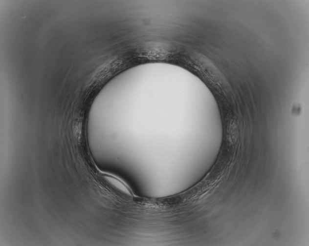 X0000096720697200802261654