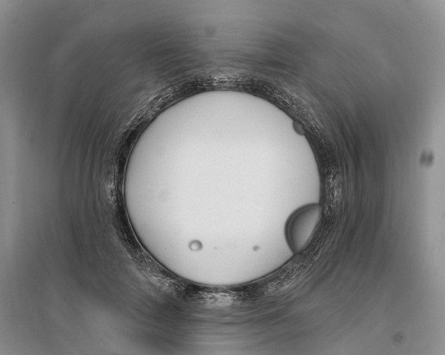 X0000096720698200802261654