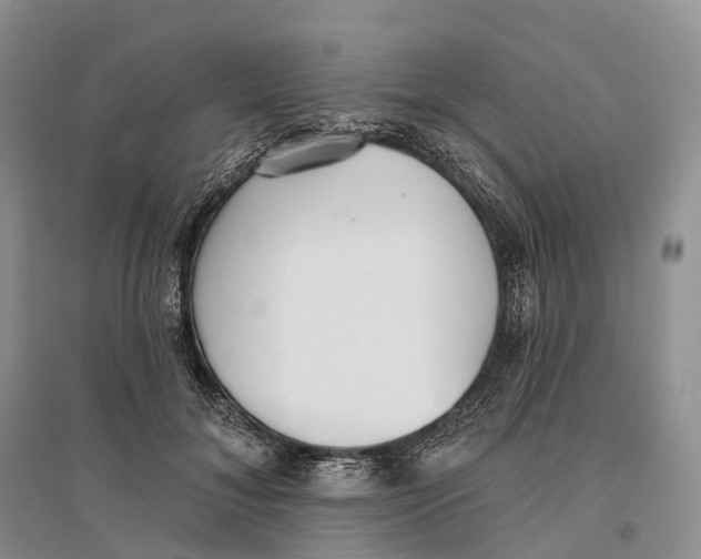 X0000096720700200802261654