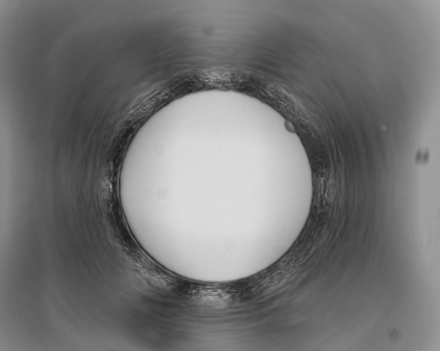 X0000096720702200802261654