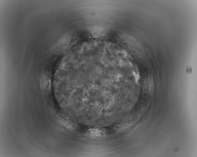 X0000096720703200802261654