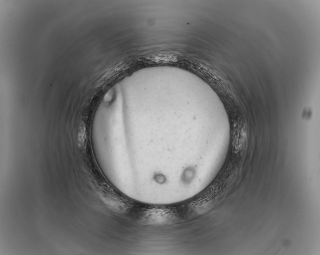 X0000096720704200802261654