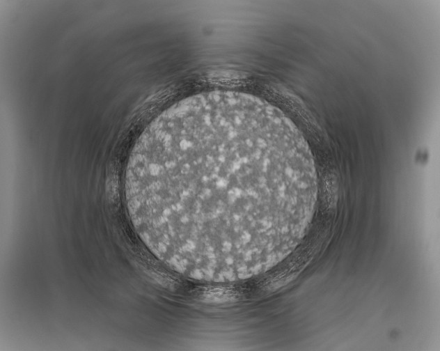 X0000096720705200802261654