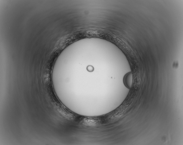 X0000096720706200802261654