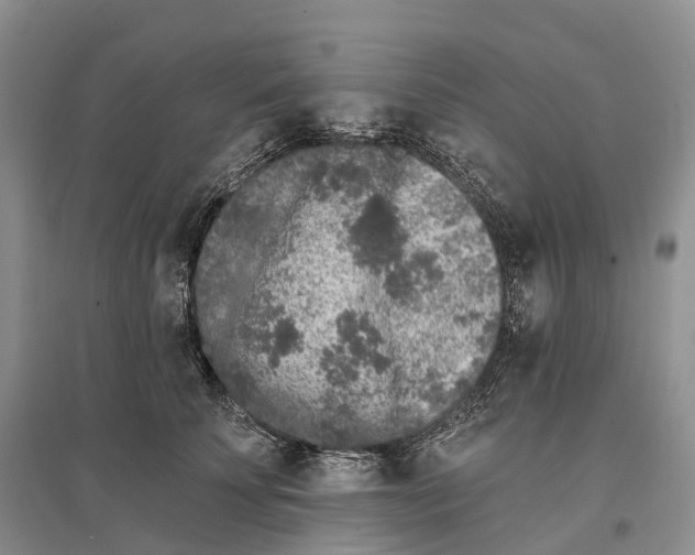 X0000096720707200802261654