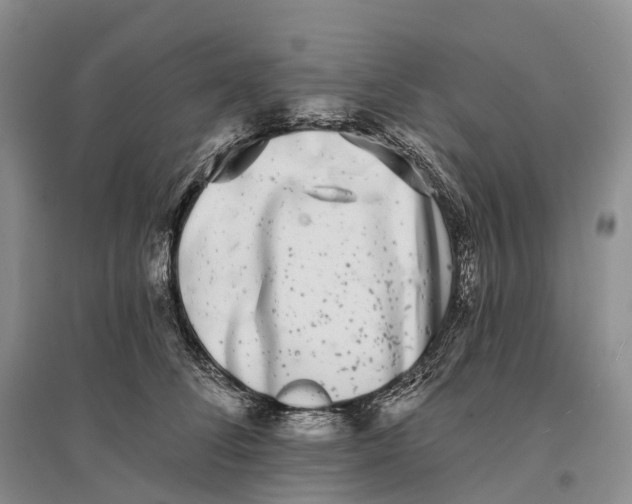 X0000096720708200802261654