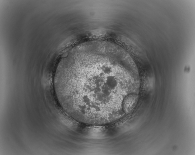 X0000096720711200802261654