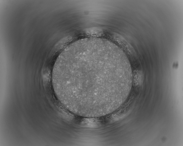 X0000096720713200802261654