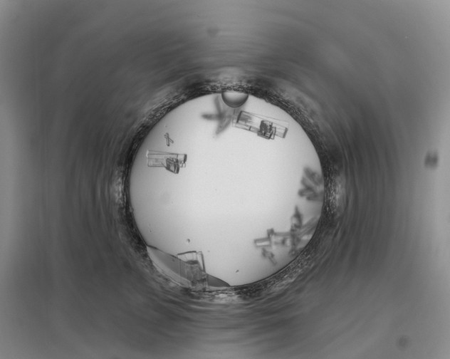 X0000096720715200802261654