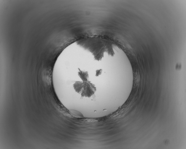 X0000096720719200802261654