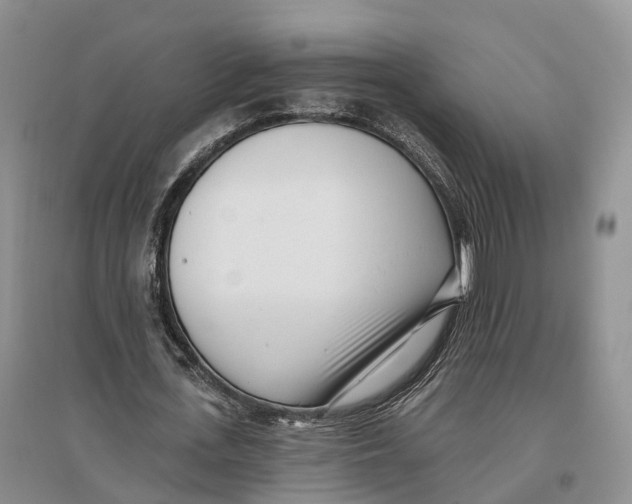 X0000096720723200802261653