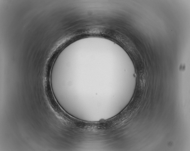 X0000096720728200802261653