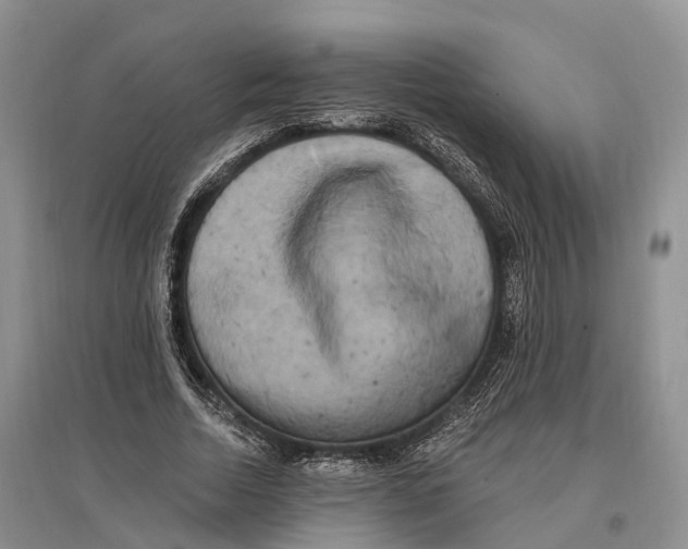 X0000096720730200802261653