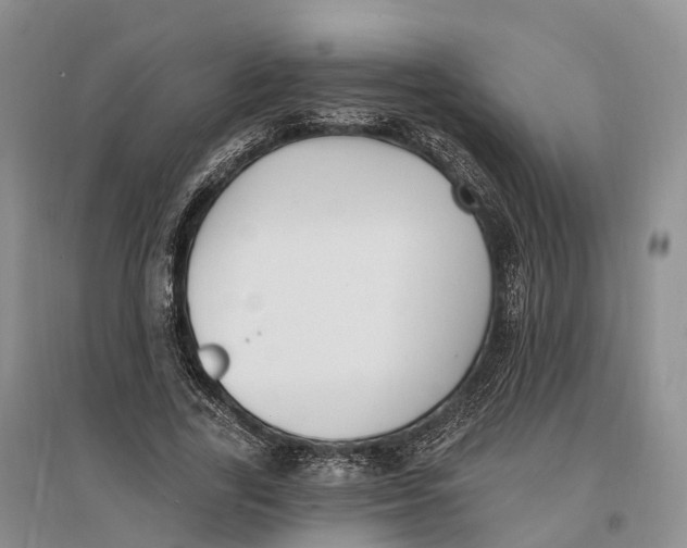 X0000096720731200802261653