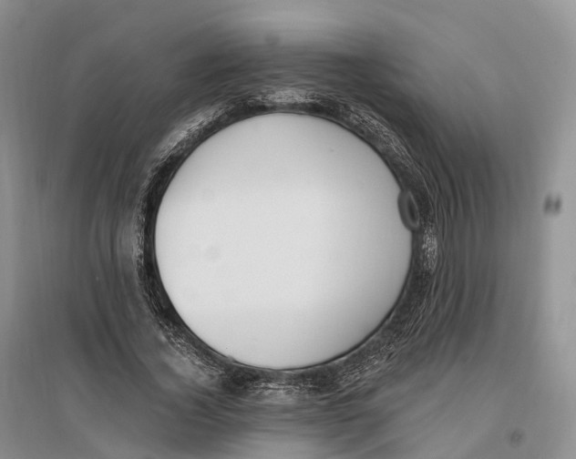 X0000096720732200802261653