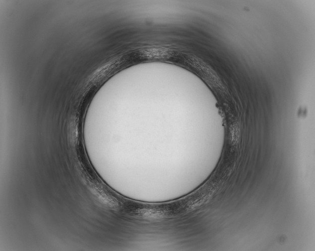 X0000096720733200802261653