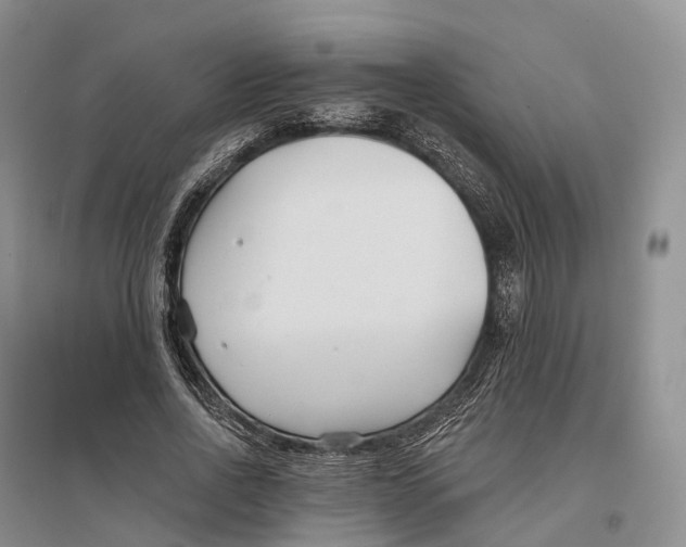 X0000096720734200802261653