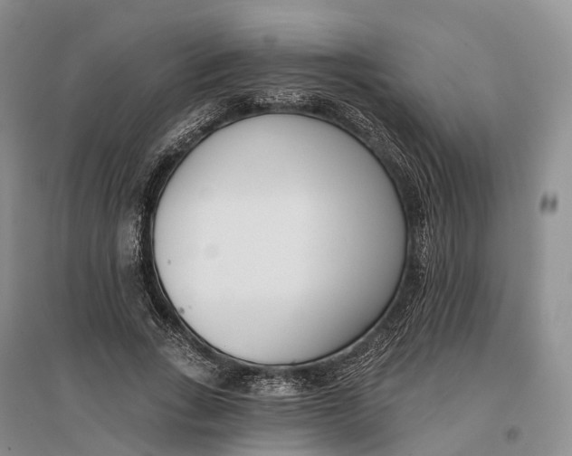 X0000096720735200802261653