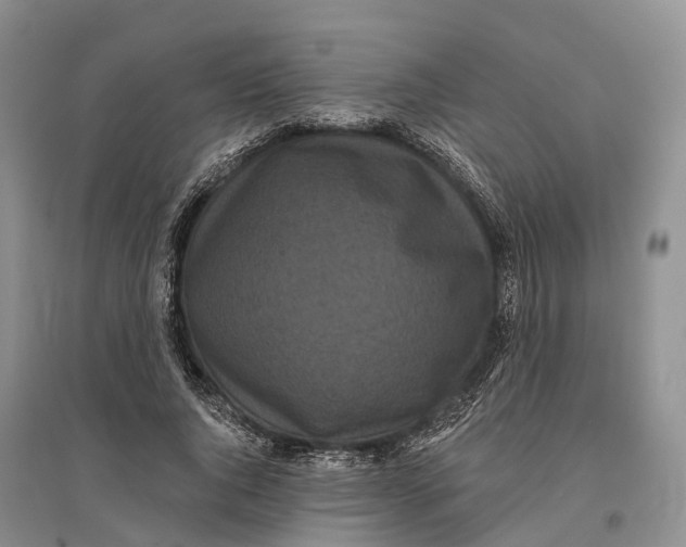 X0000096720736200802261653