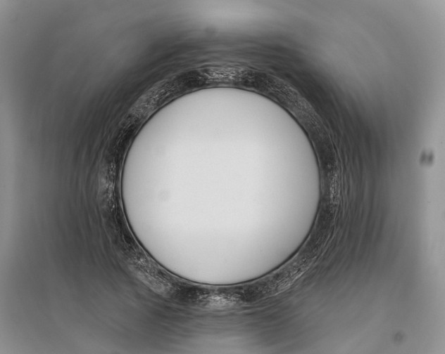 X0000096720737200802261653