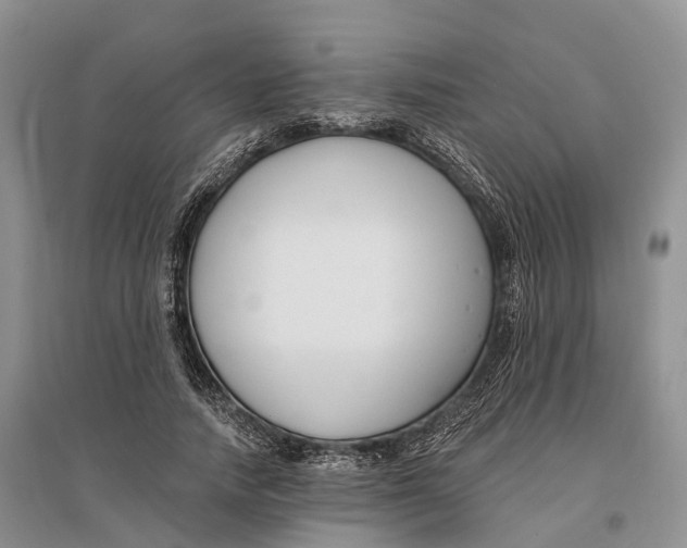 X0000096720738200802261653