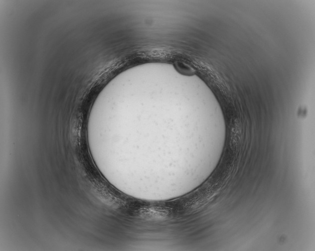 X0000096720739200802261653