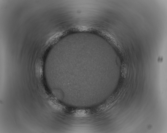 X0000096720740200802261653