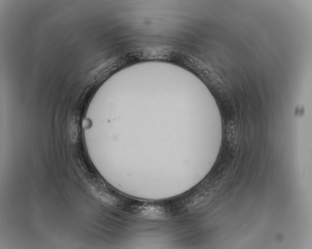 X0000096720741200802261653