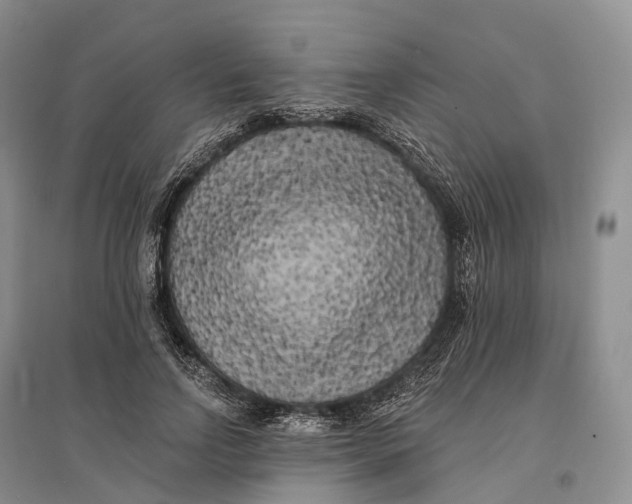 X0000096720742200802261653