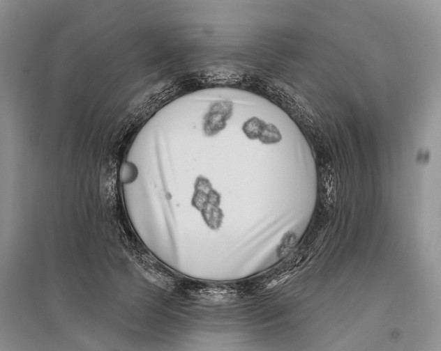 X0000096720745200802261653