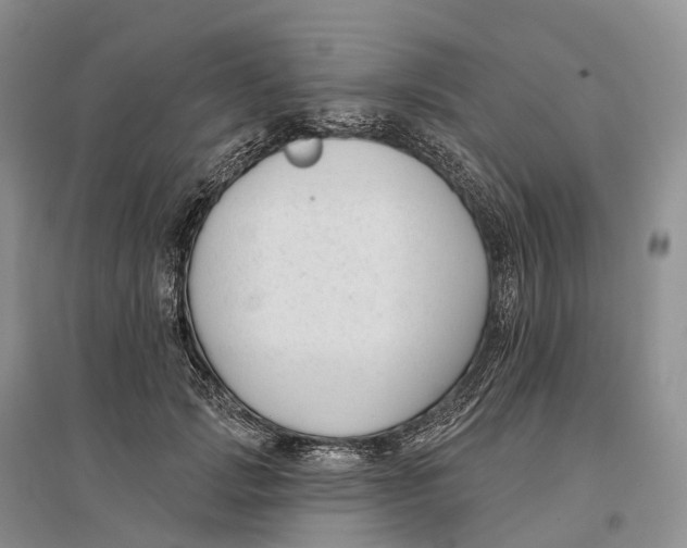 X0000096720749200802261653