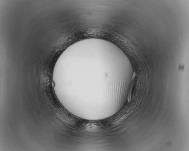 X0000096720751200802261653