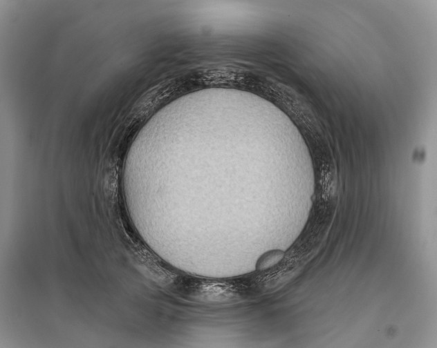 X0000096720753200802261653