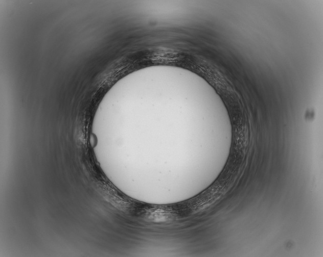 X0000096720755200802261653