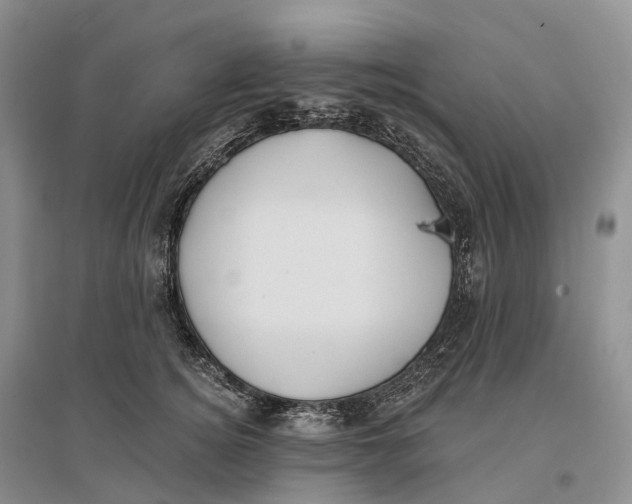 X0000096720756200802261653