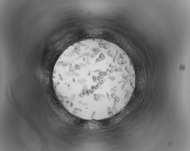 X0000096720758200802261654