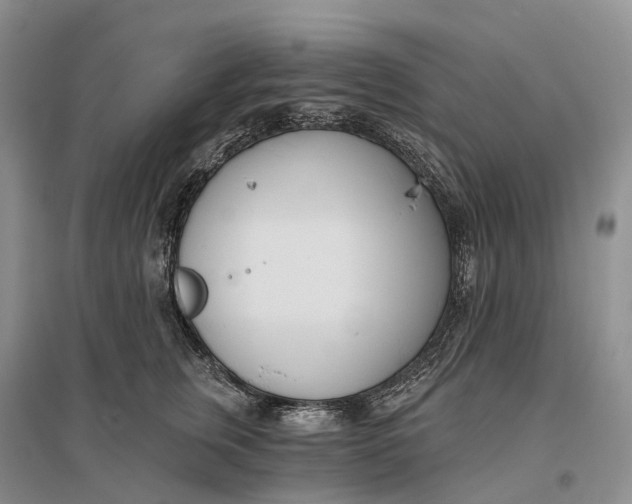 X0000096720759200802261654