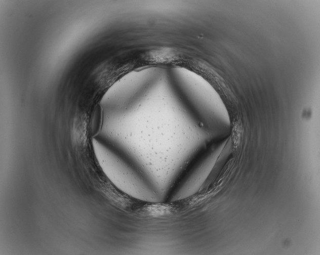 X0000096720762200802261654