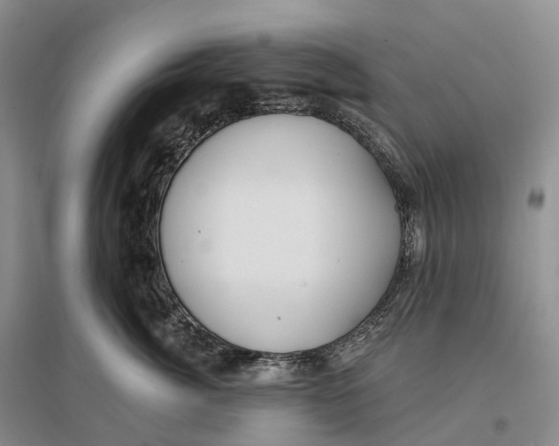 X0000096720764200802261654