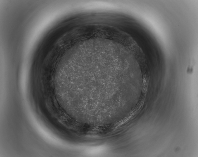 X0000096720765200802261654